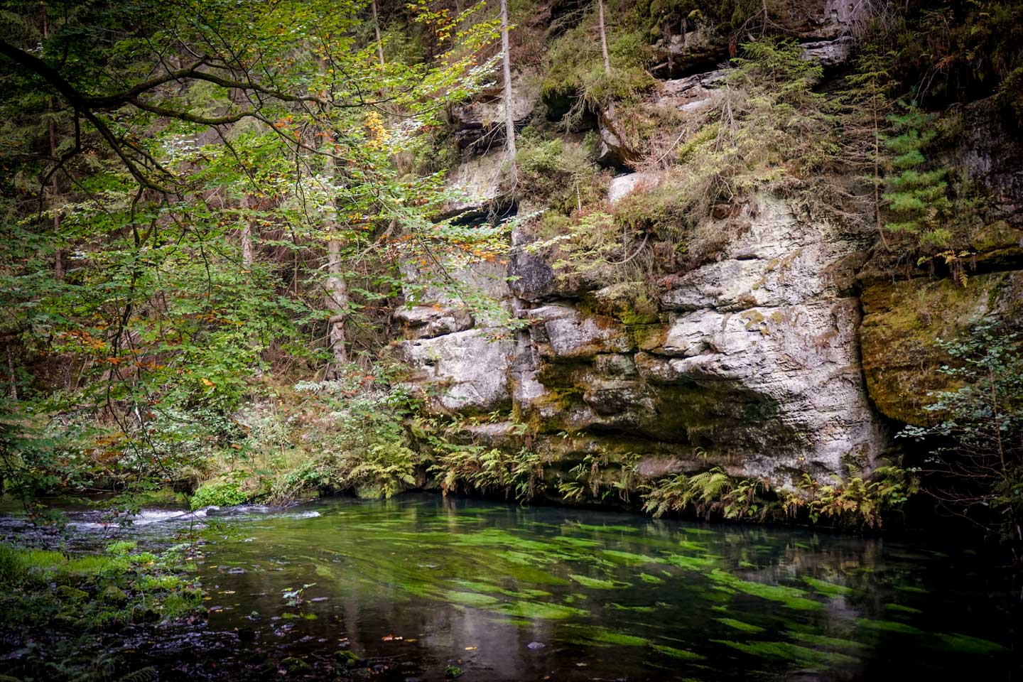 gorges-river-kamenice