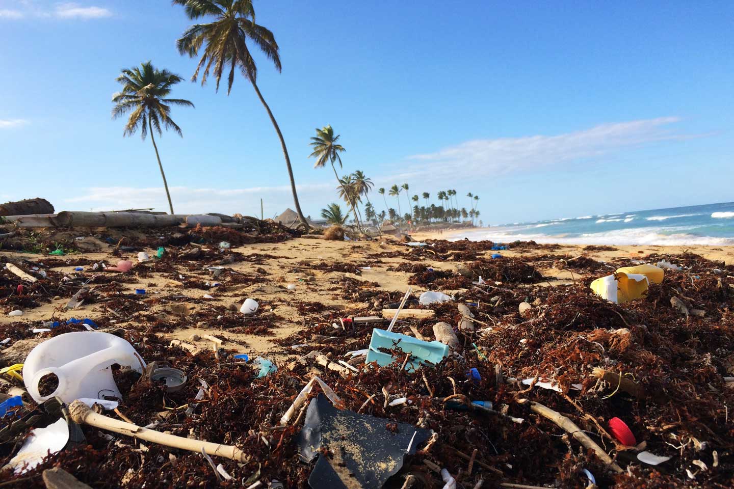 plastic pollution in oceans