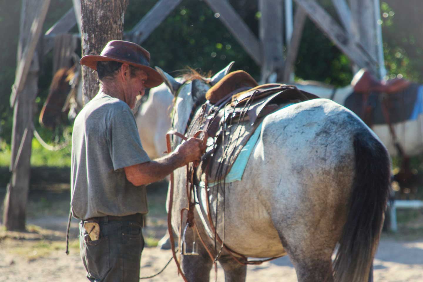 horse ranch guyana