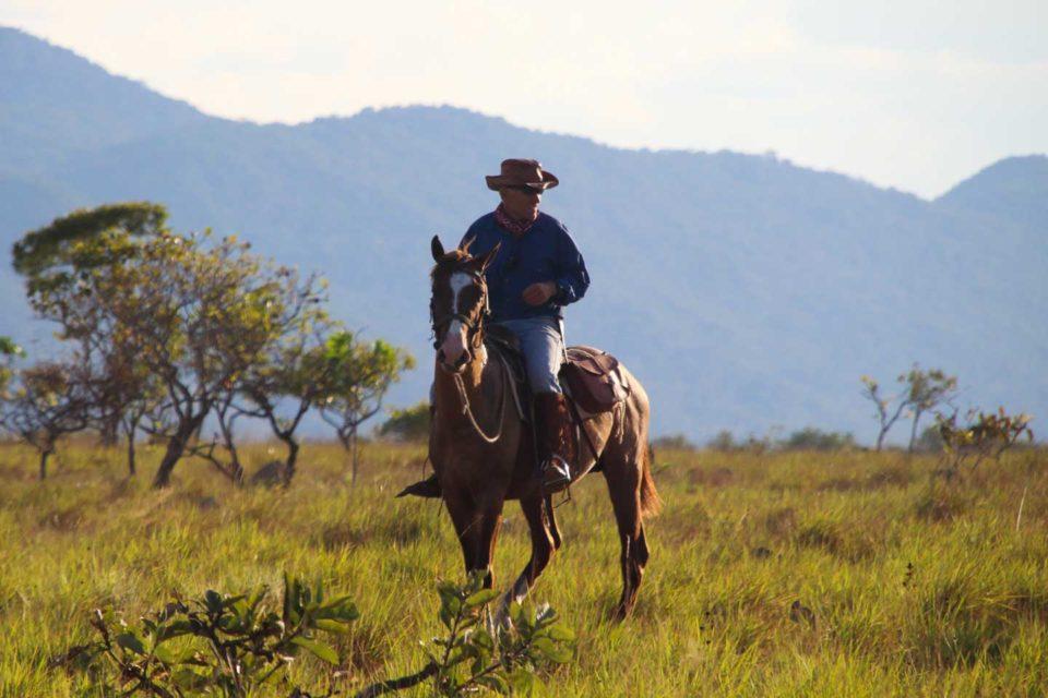 saddle ranch guyana
