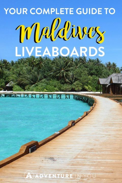 Diving in the Maldives | Complete Guide to Maldives Liveaboards. From comparing boats to choosing the best dive sites #maldives #liveaboard #scubadiving