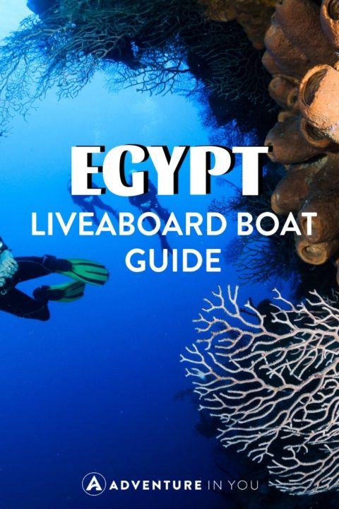 Want to go diving in Egypt? Here are the best liveaboards on the market for a life changing trip.