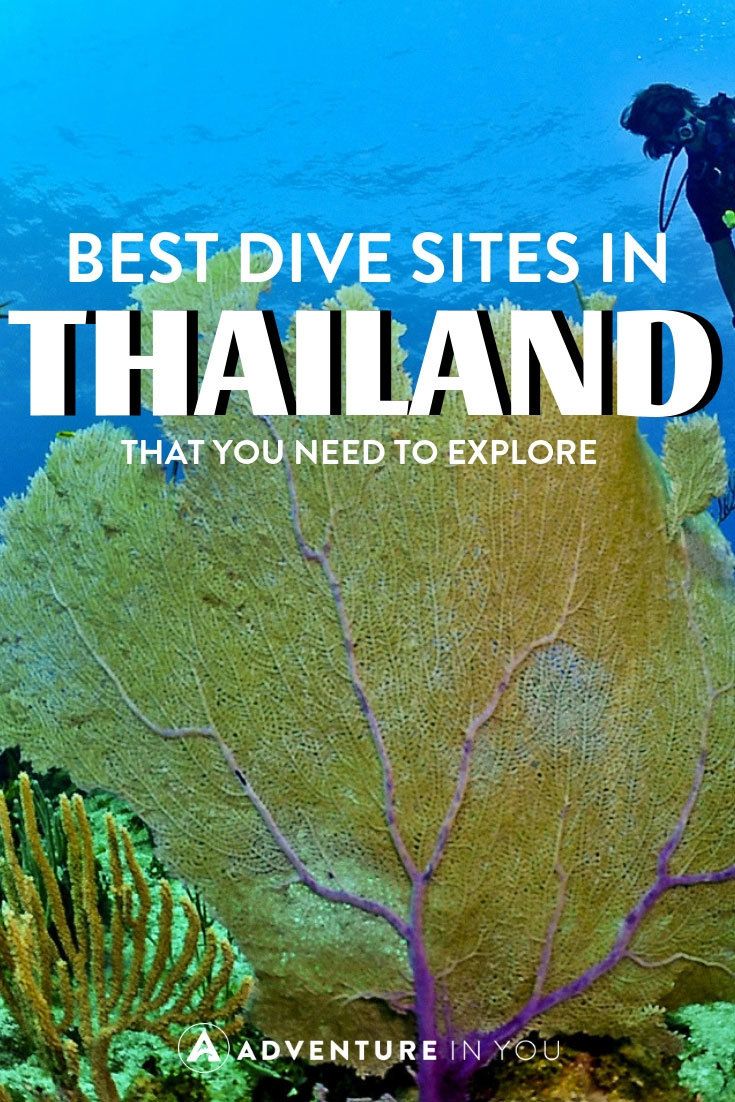 Diving in Thailand | Planning on checking out the scuba diving in Thailand? Click here to read our full article on the best dive sites in the country. #thailand #scubadiving