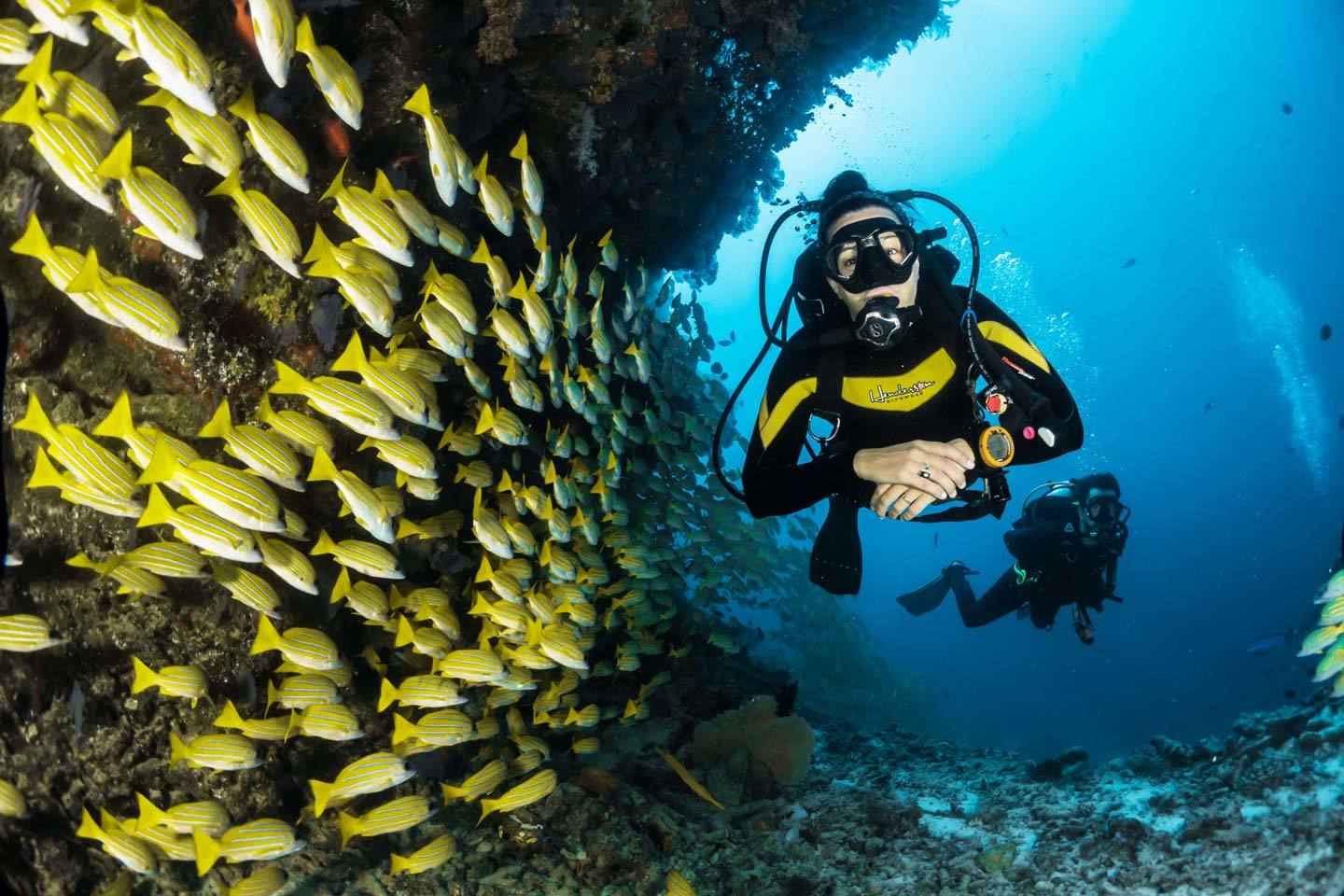 scuba diver with lots of fish