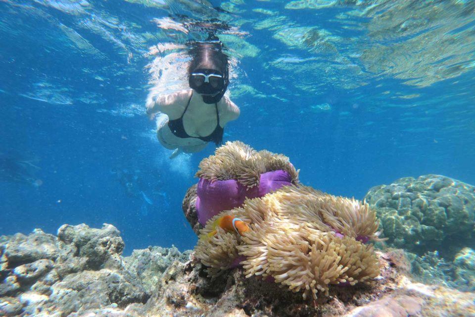 girl snorkeling with mask and snorkel