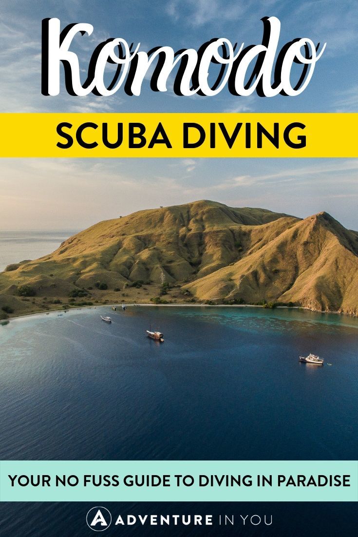 Komodo Scuba Diving | Did you know that the land of the dragons has some of the best scuba diving in the world? Check out our complete guide to diving around these magical Indonesian islands!