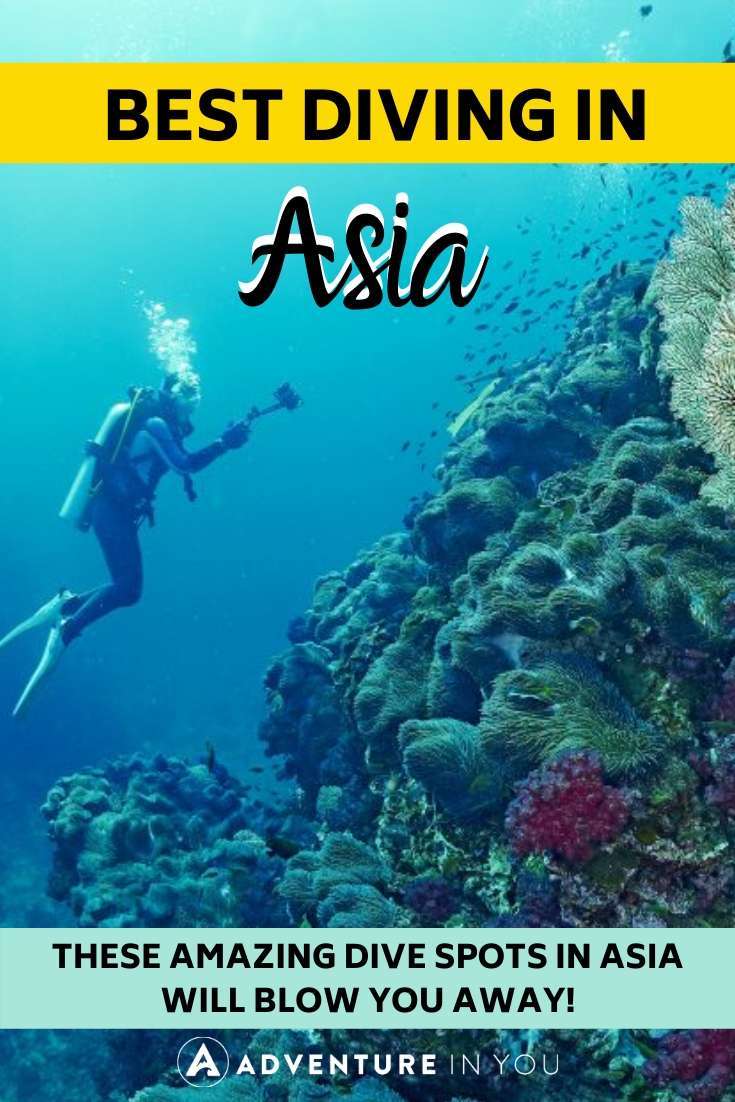 Best Diving in Asia | Do you live to dive? Here are the top dive spots in Asia to add to your bucket list!