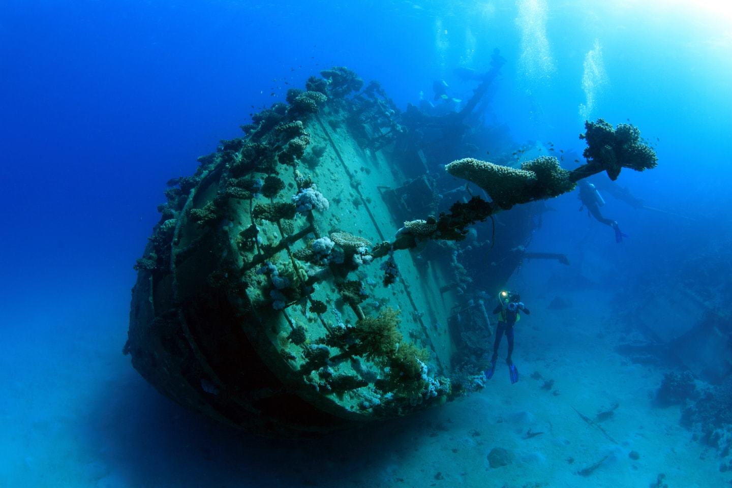 egypt diving: WWII shipwreck in red sea