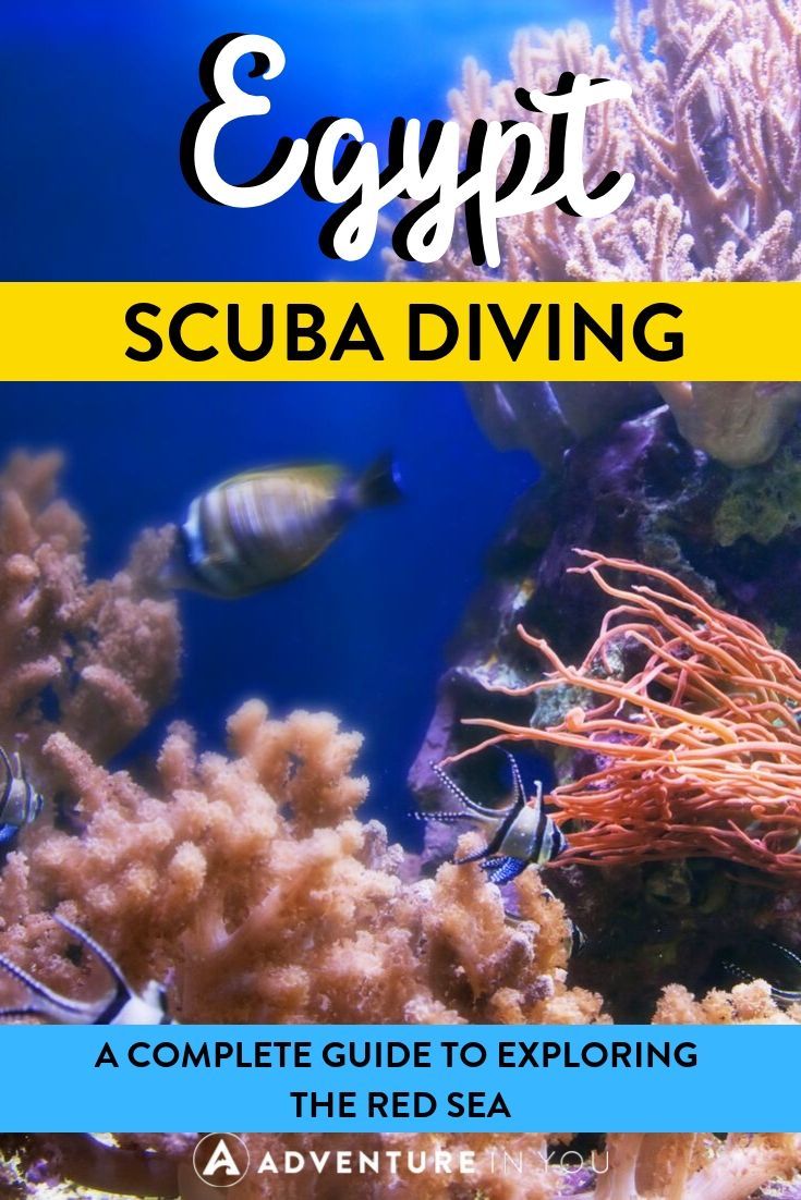 Egypt Scuba Diving | Did you know that the Red Sea has some of the greatest scuba diving in the world? Here's everything you need to know about planning a diving trip in Egypt.