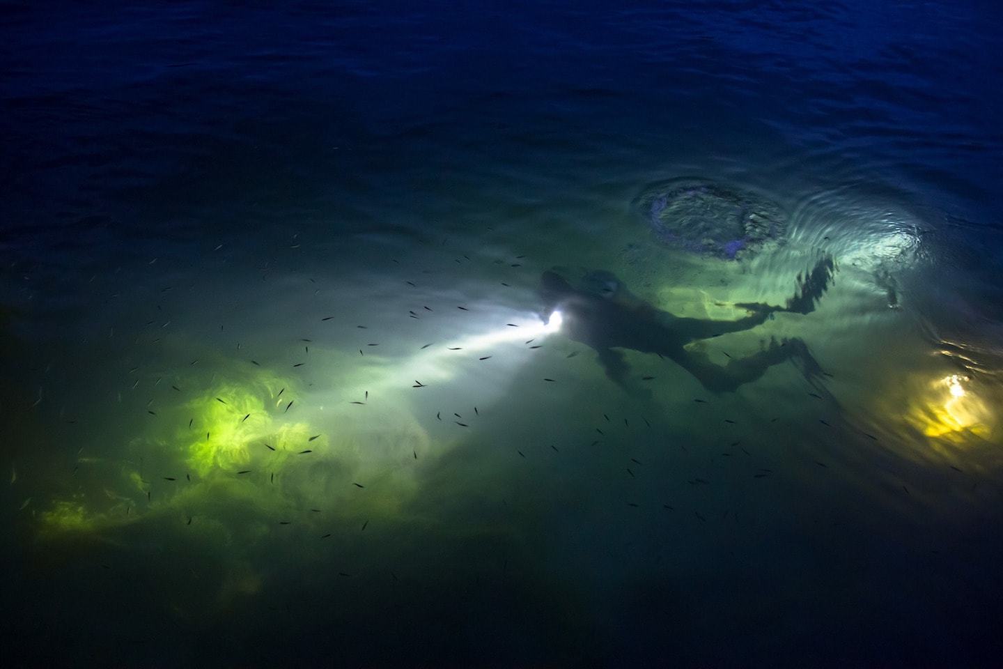 person diving at night with flashlight