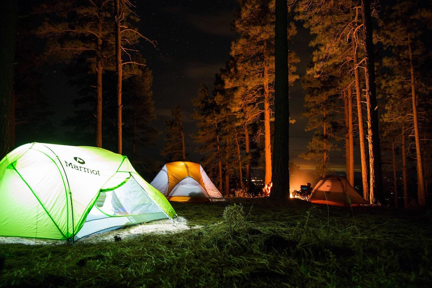 camping in forest with trees surrounding tents