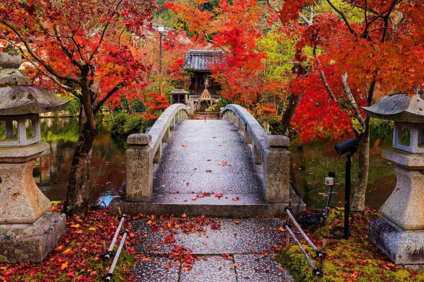 best kyoto temple: eikan do