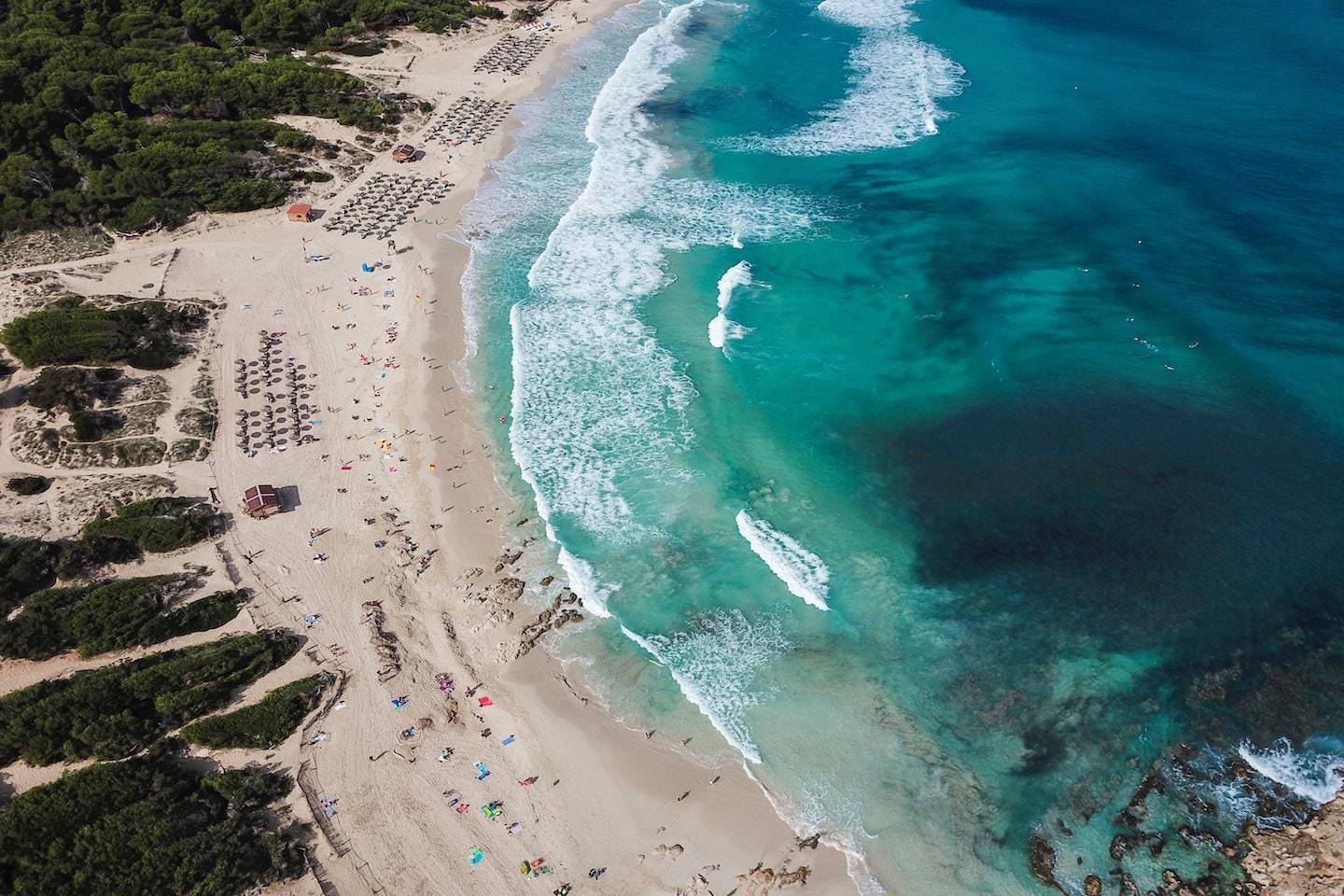 aerial view of beach with sand and water