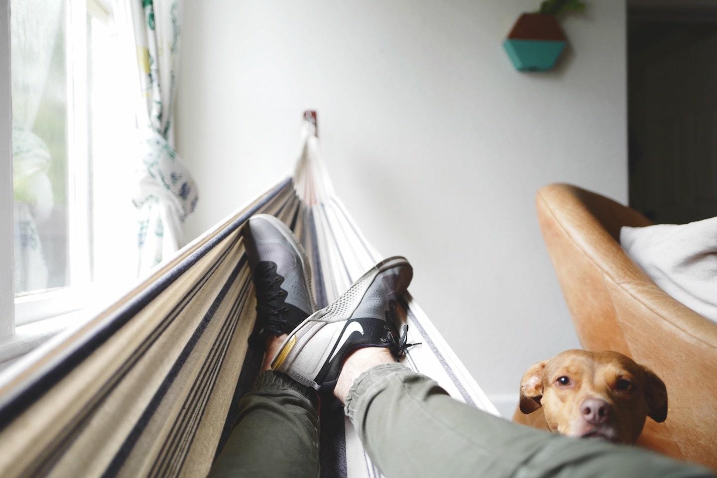 person lying in hammock with dog next to him