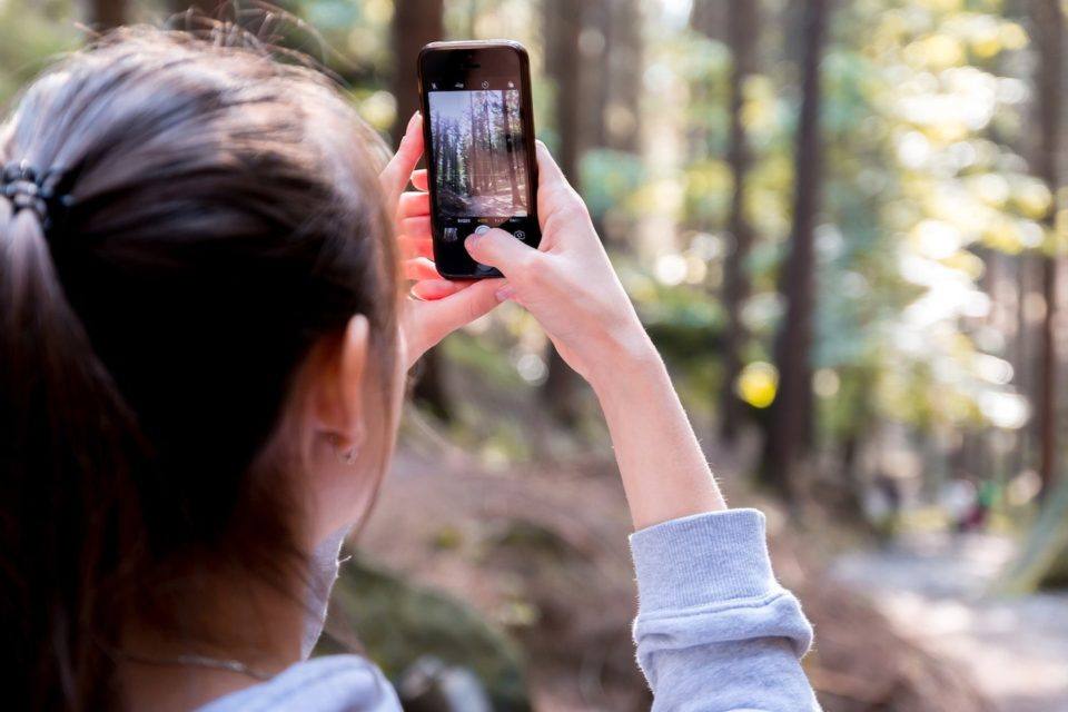 woman taking picture of trees with iPhone