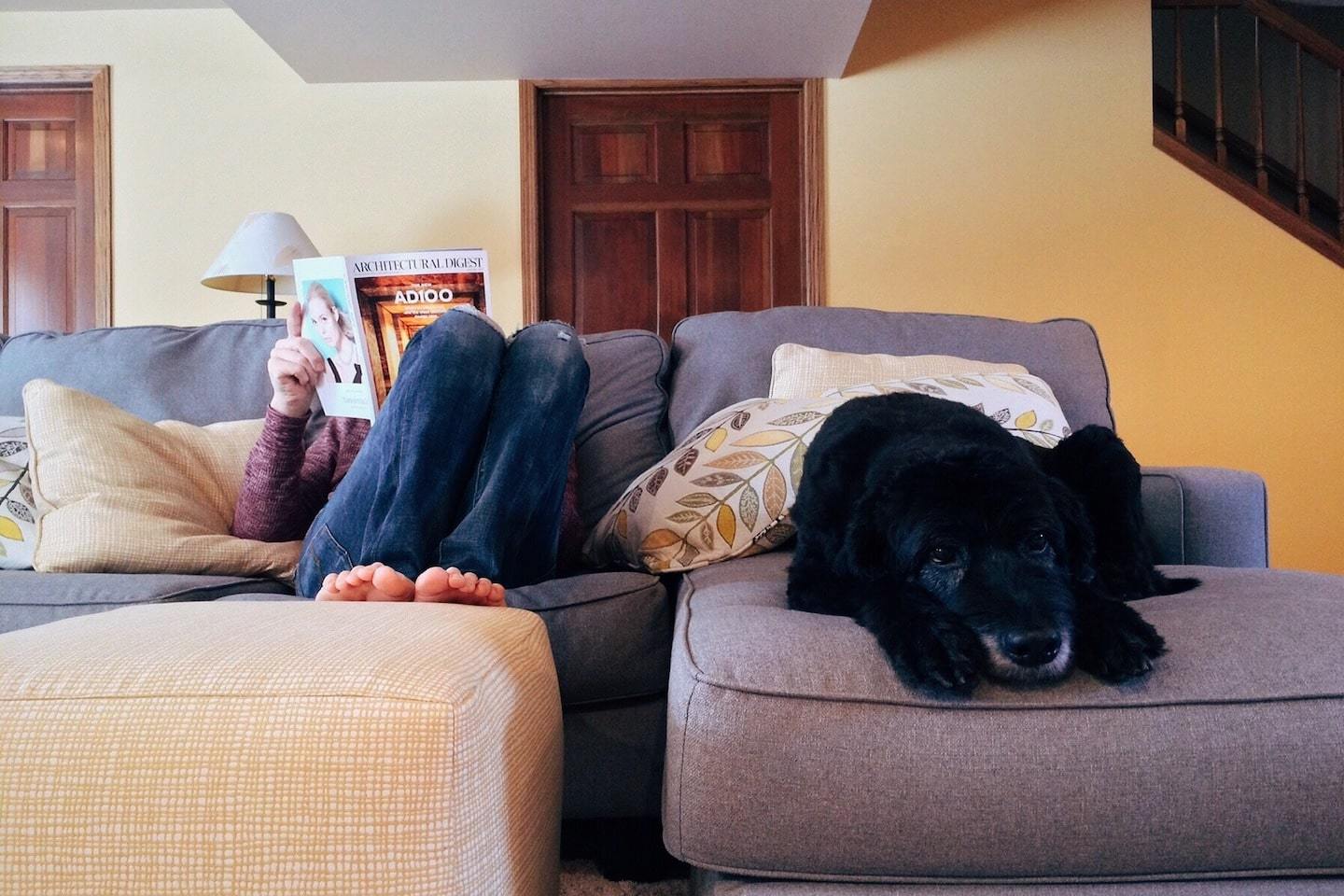 person reading on couch with dog next to them