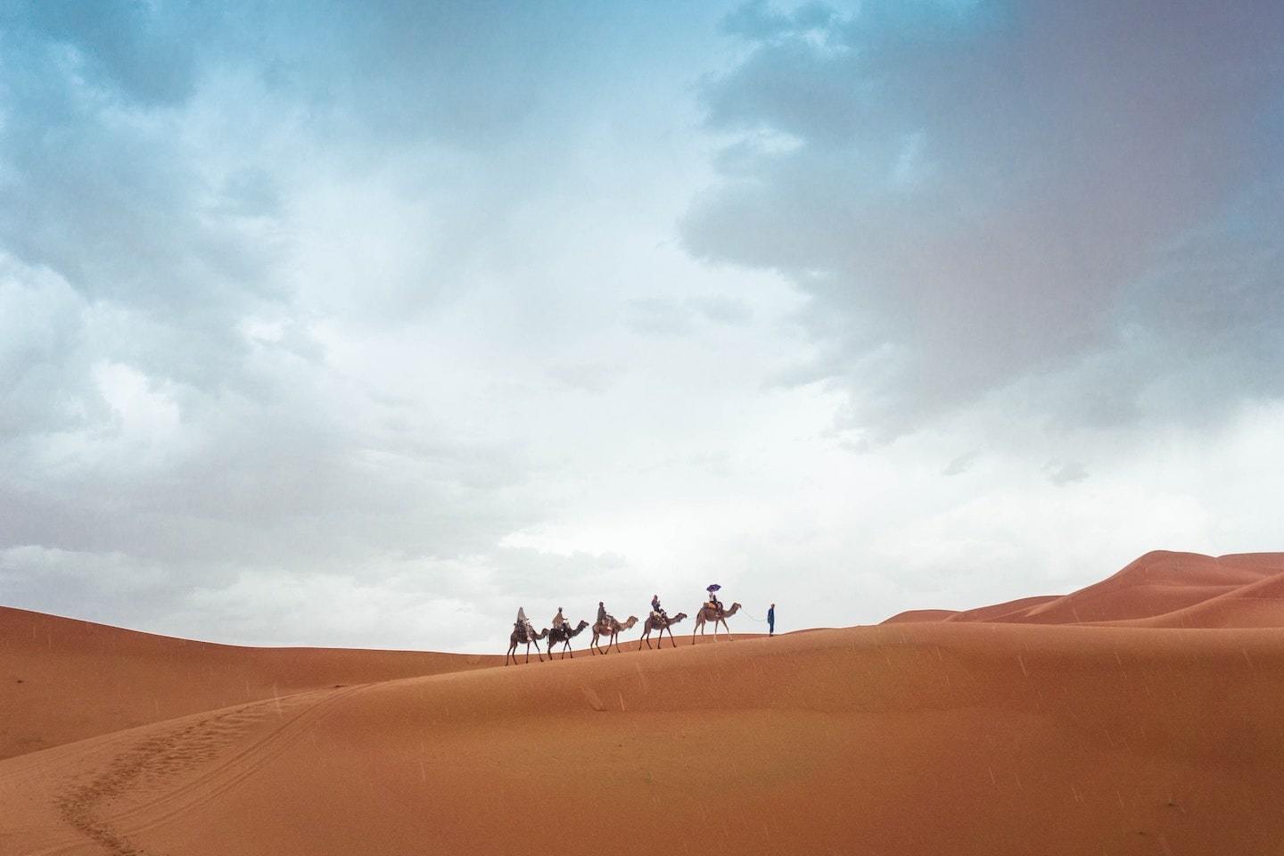 camels walking in desert under cloudy blue sky