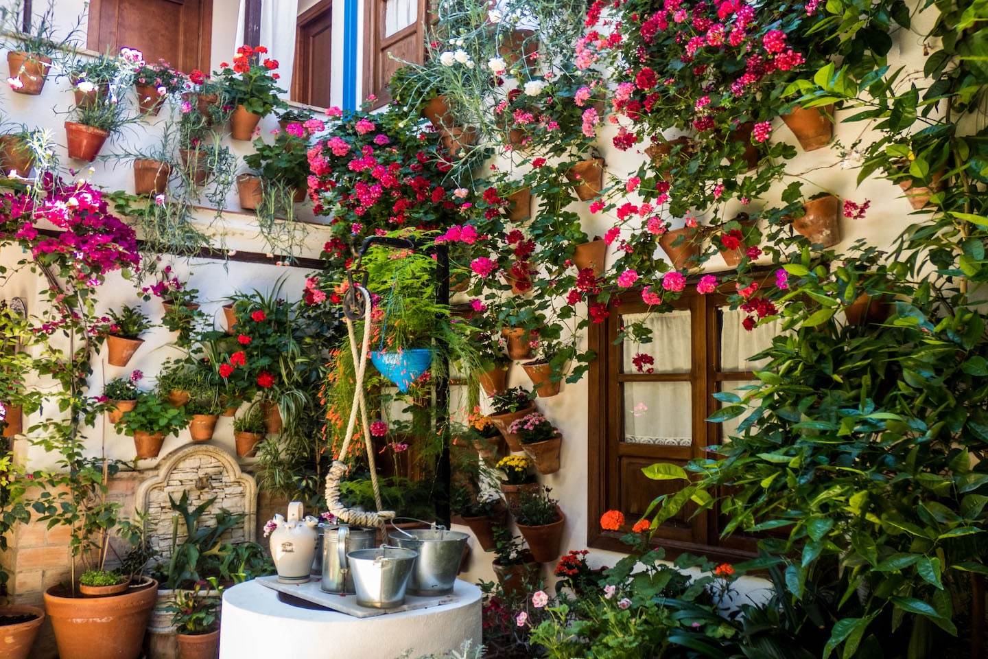 Patio in Cordoba covered in plants and flowers