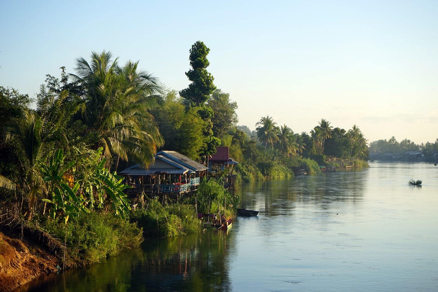 river with trees on the bank with house in them in Don Det Laos