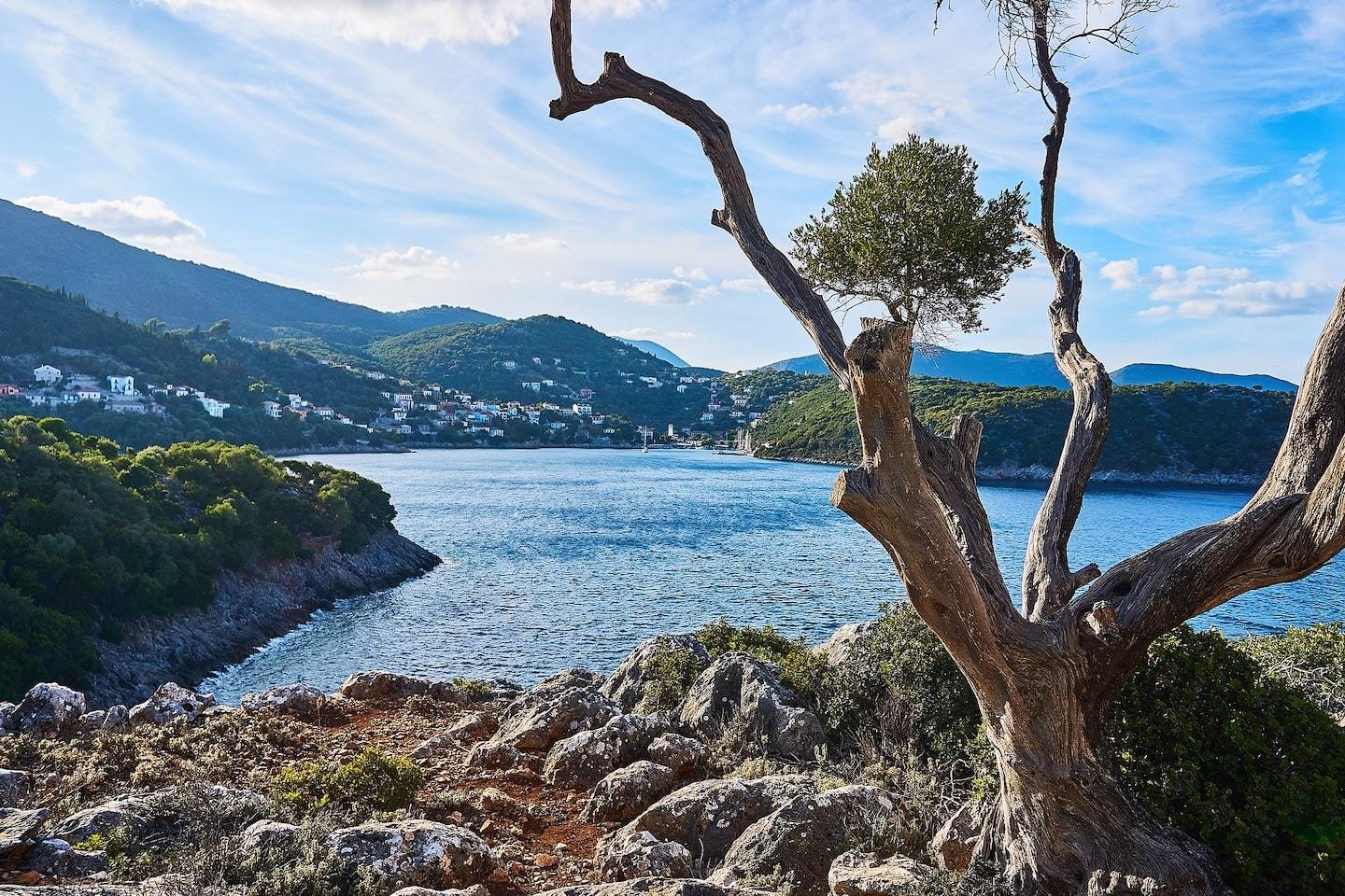 tree with ocean, town and mountains behind in Greece island of Ithaca