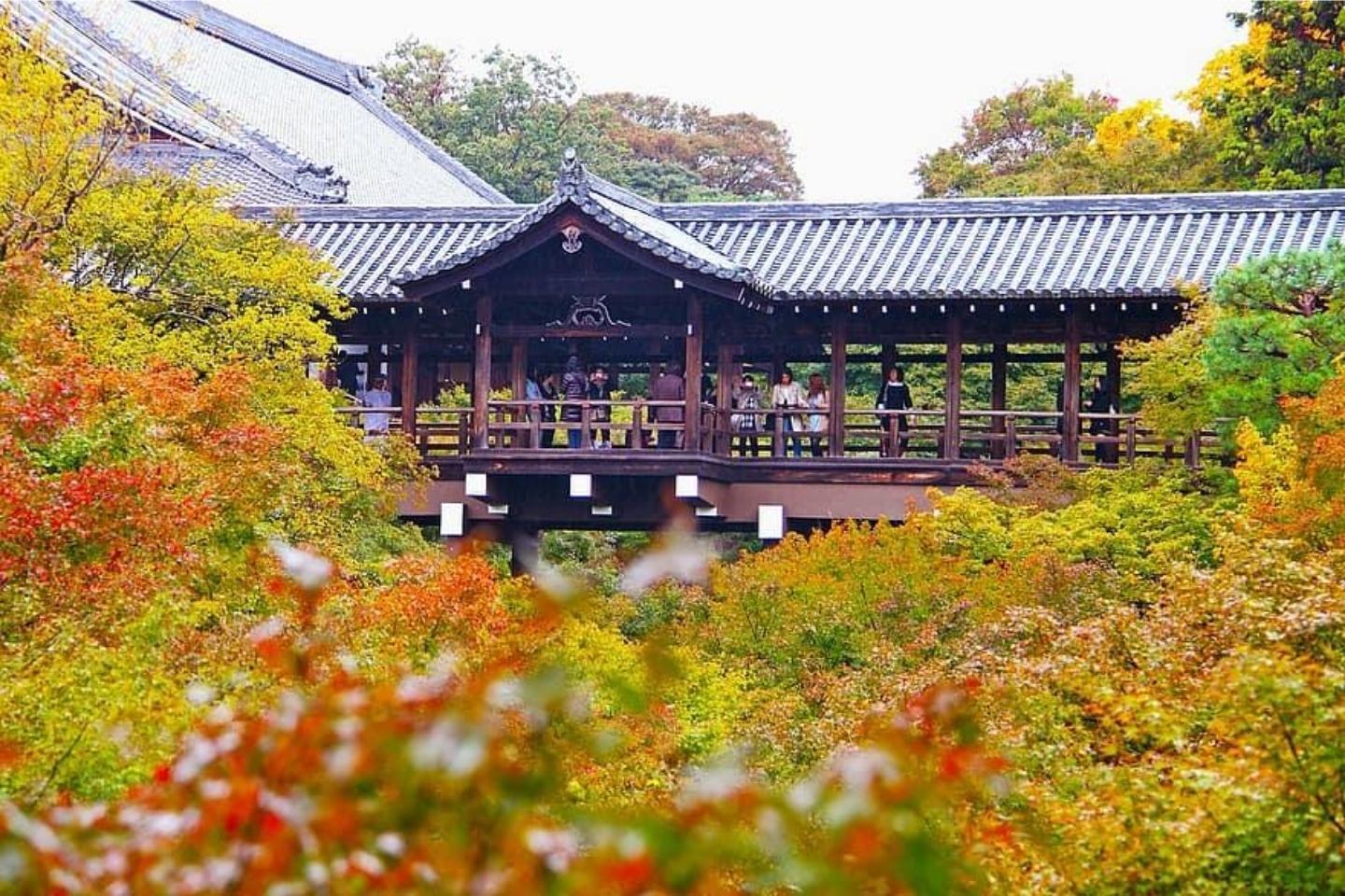kyoto temple: tofukuji