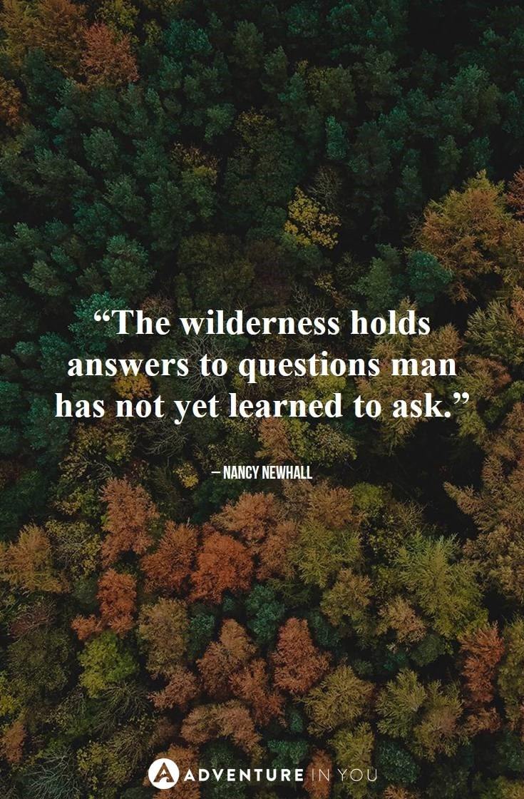 “The wilderness holds answers to questions man has not yet learned to ask.” – Nancy Newhall