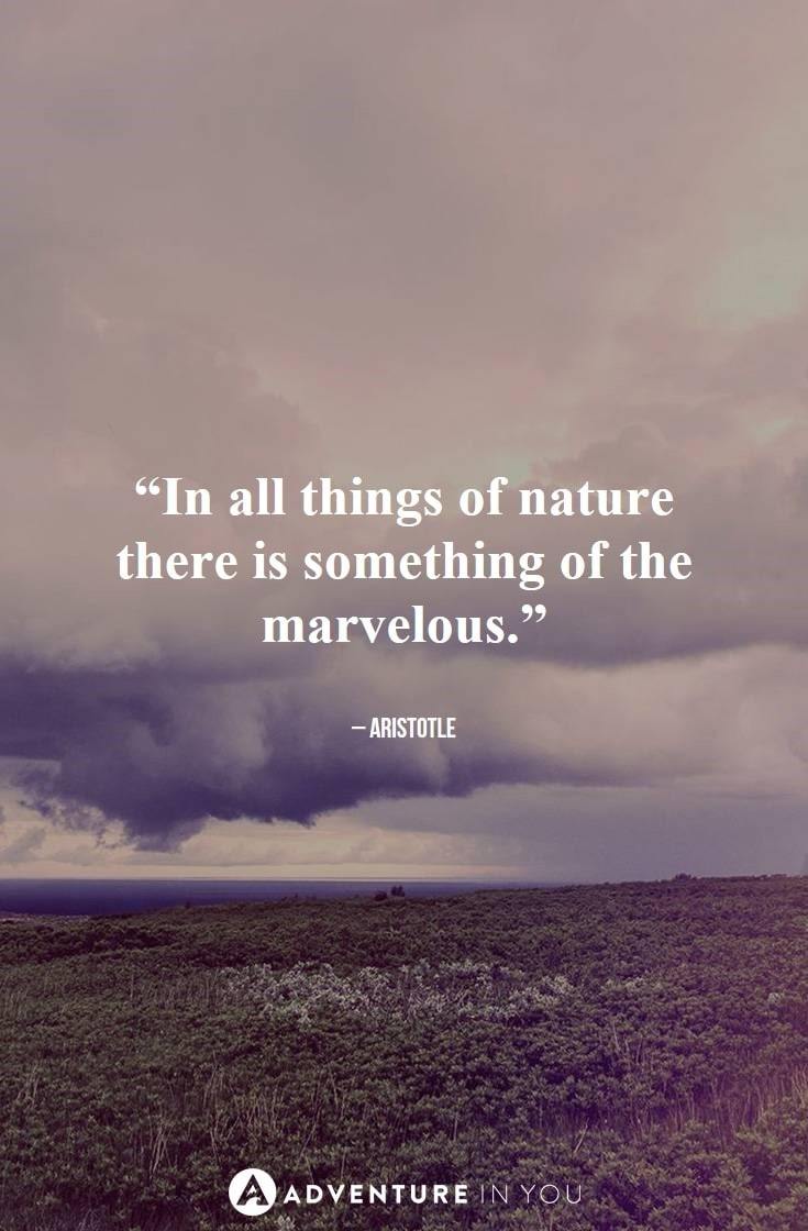 “In all things of nature there is something of the marvelous.”