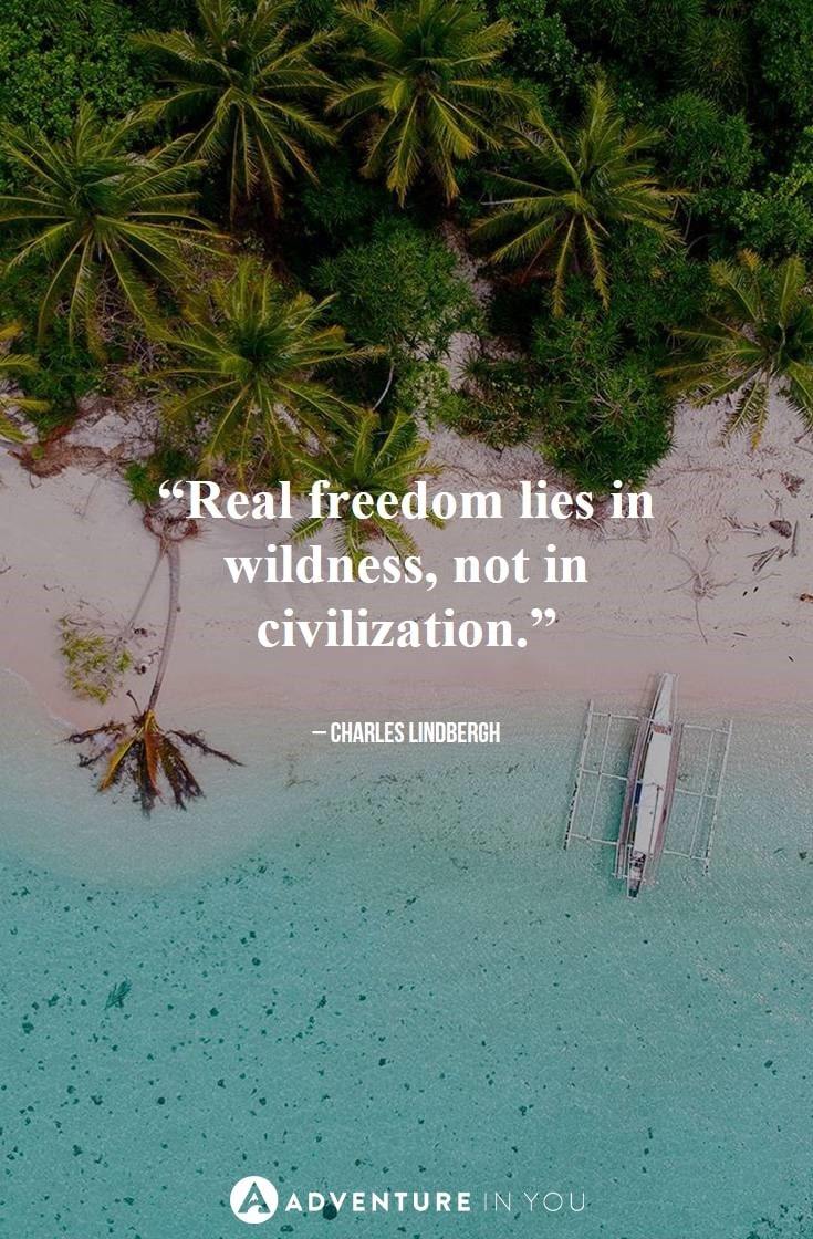 “Real freedom lies in wildness, not in civilization.”
