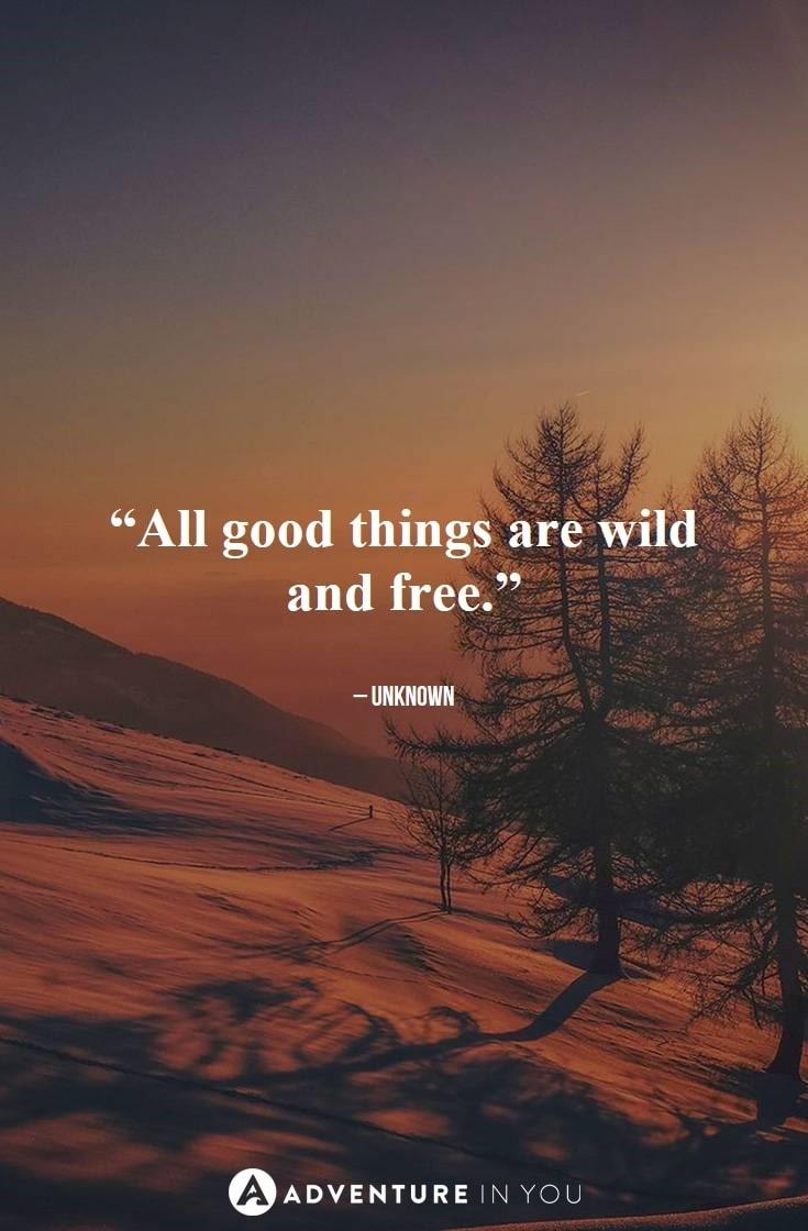 “All good things are wild and free.” – Unknown