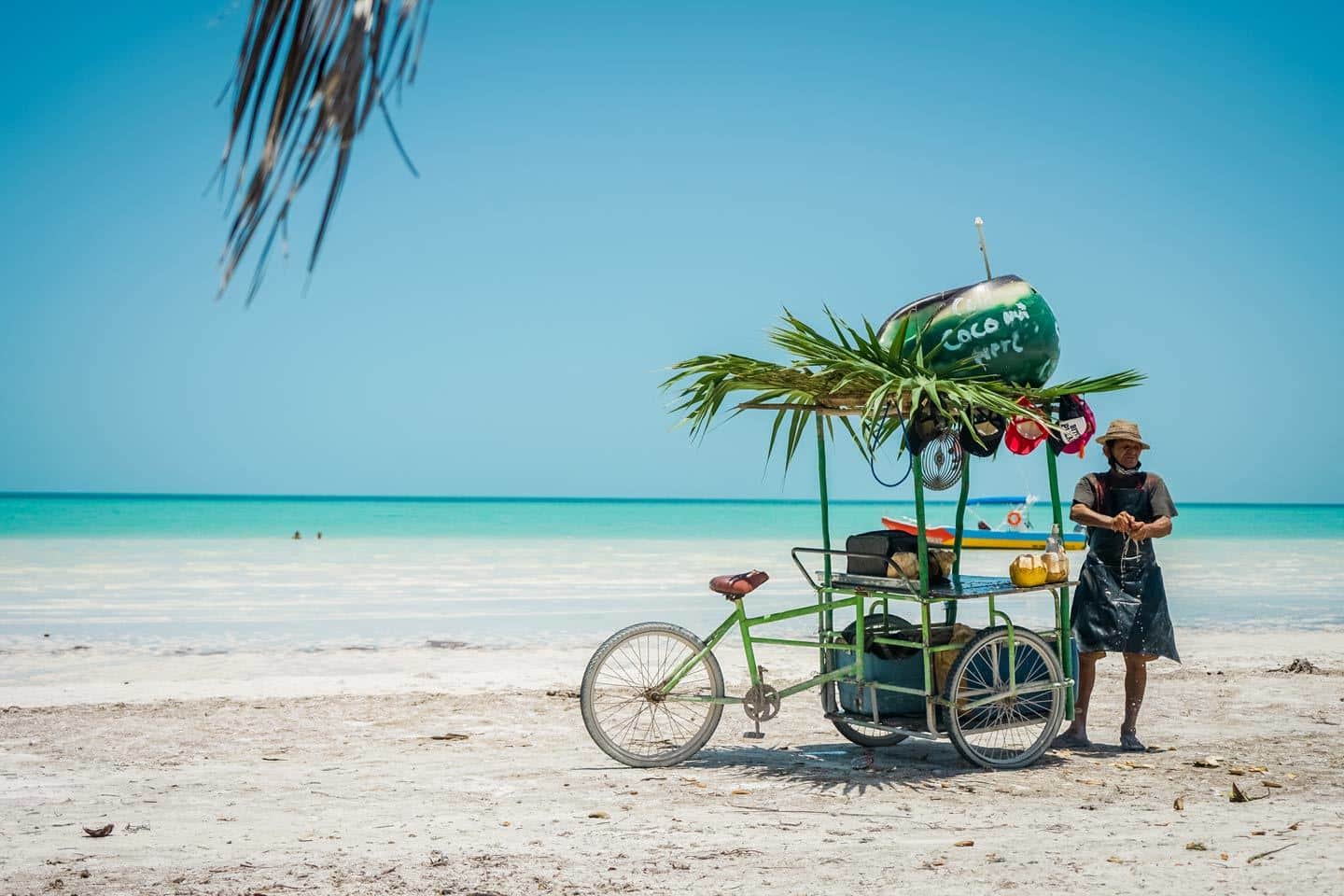 things to do in holbox island