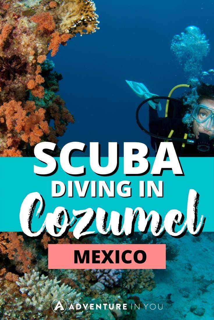 diving in Cozumel | Planning a trip to Cozumel Mexico? Click here to find out what sites to dive, which school to go with, and more. #scubadiving #mexico #cozumelo
