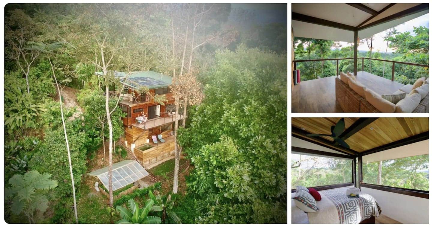 The Fusion Home - Treetop Paradise!
