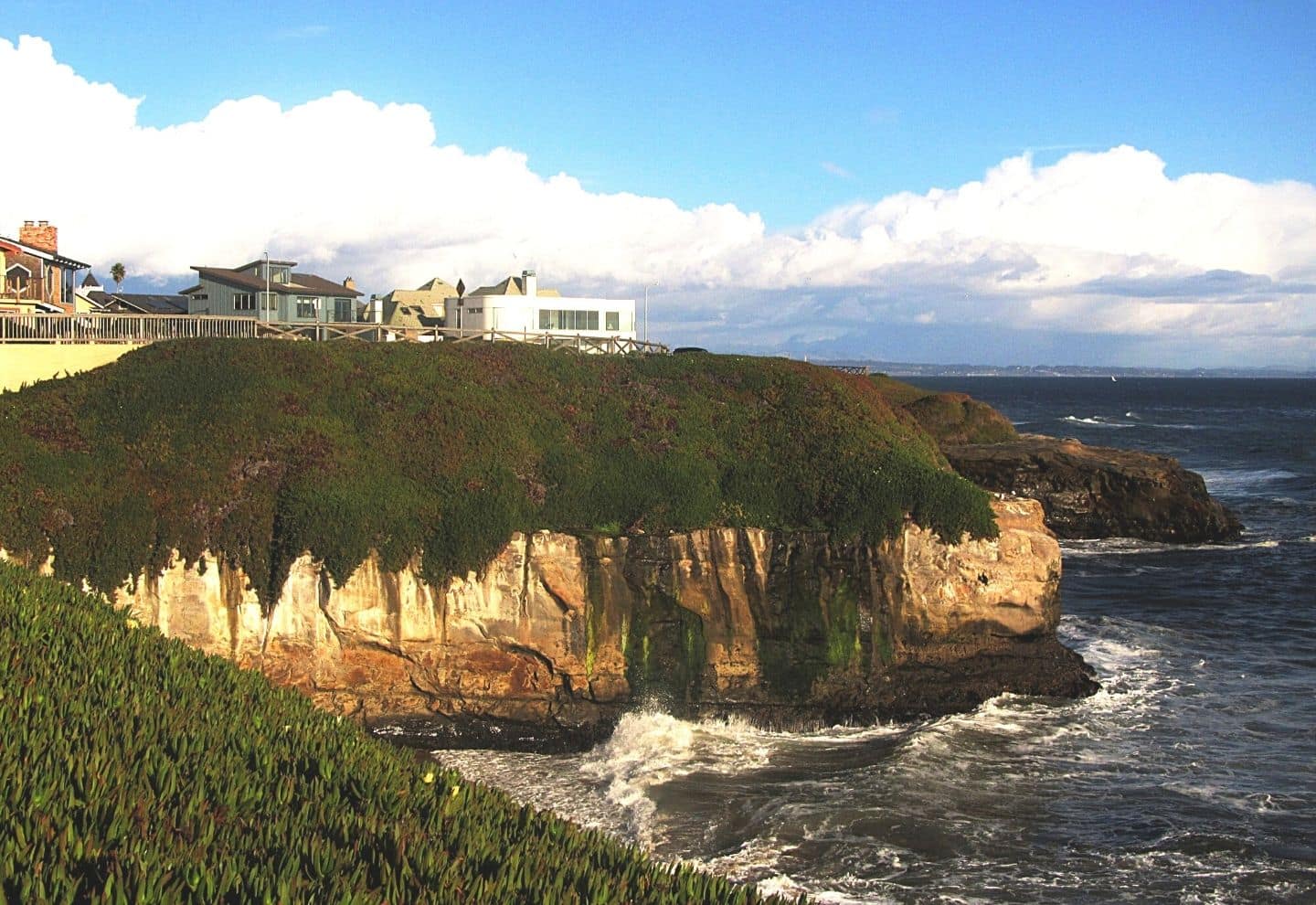 Santa Cruz sea cliff