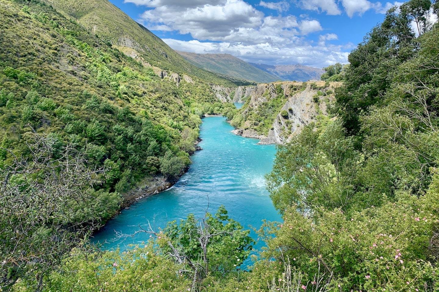 bright blue water and greenery along the Gibbston River Track in Queenstown