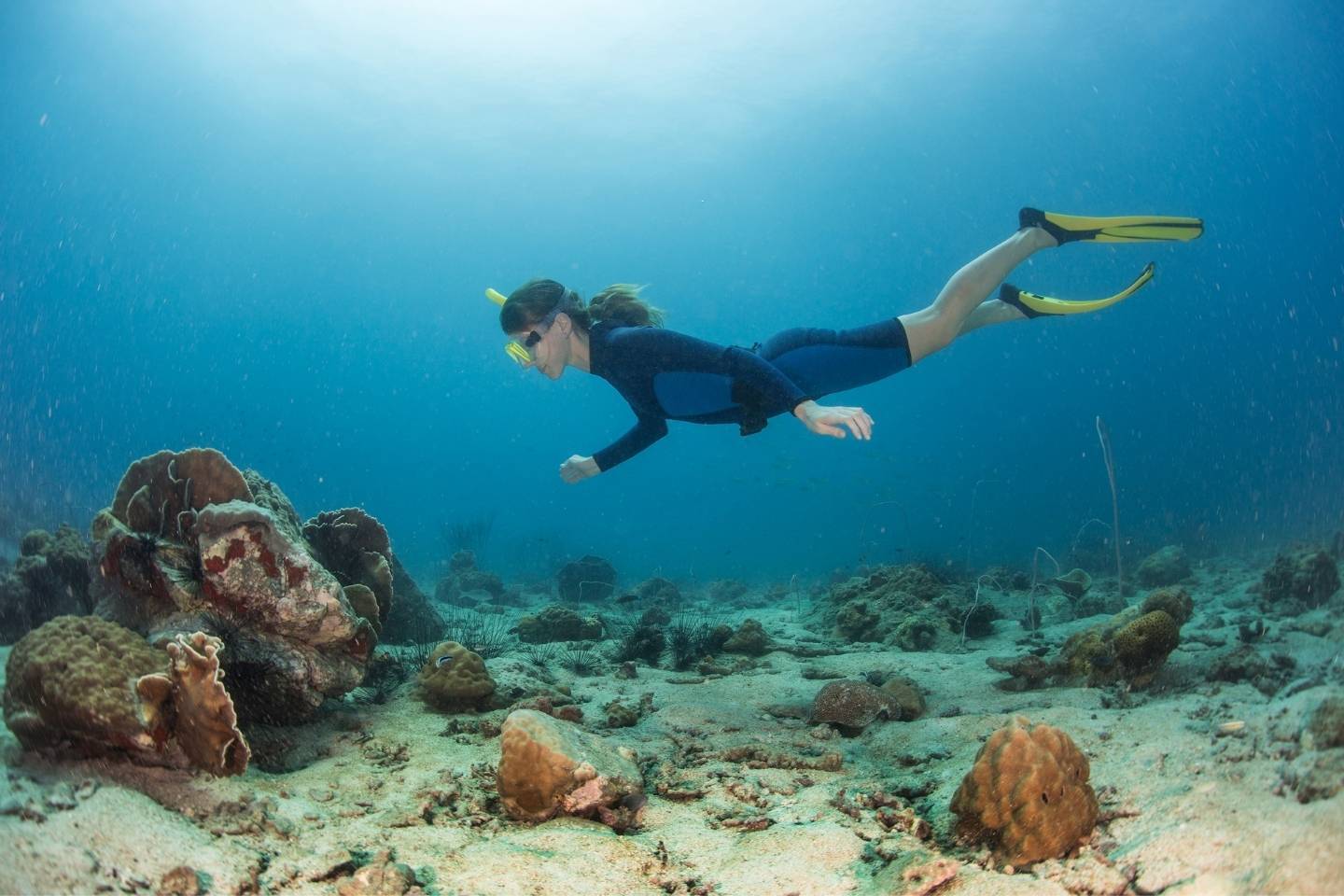 A fee diver woman swims under water above the sea fllor