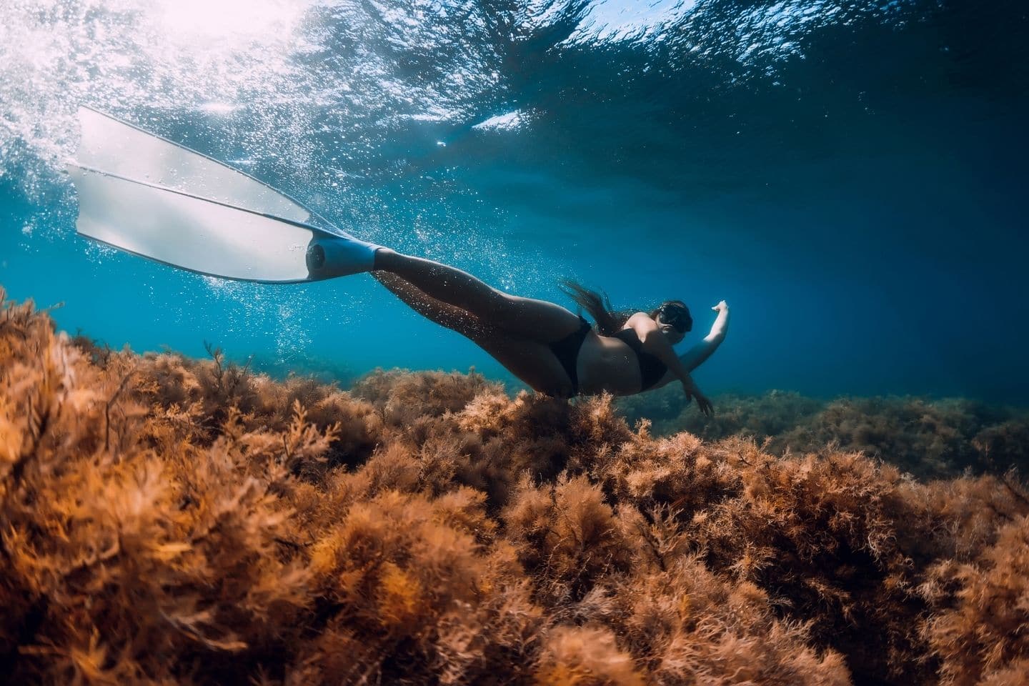 Freediver girl with white fins glides underwater with amazing sun rays and seaweed. Freediving underwater in blue sea