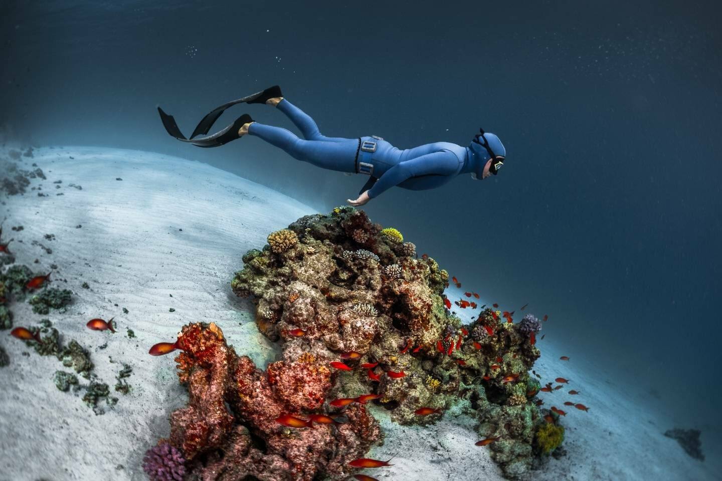 A freediver in a blue freediving wetsuit under the sea