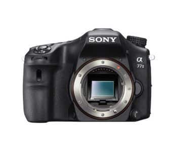 Sony a7 wildlife camera