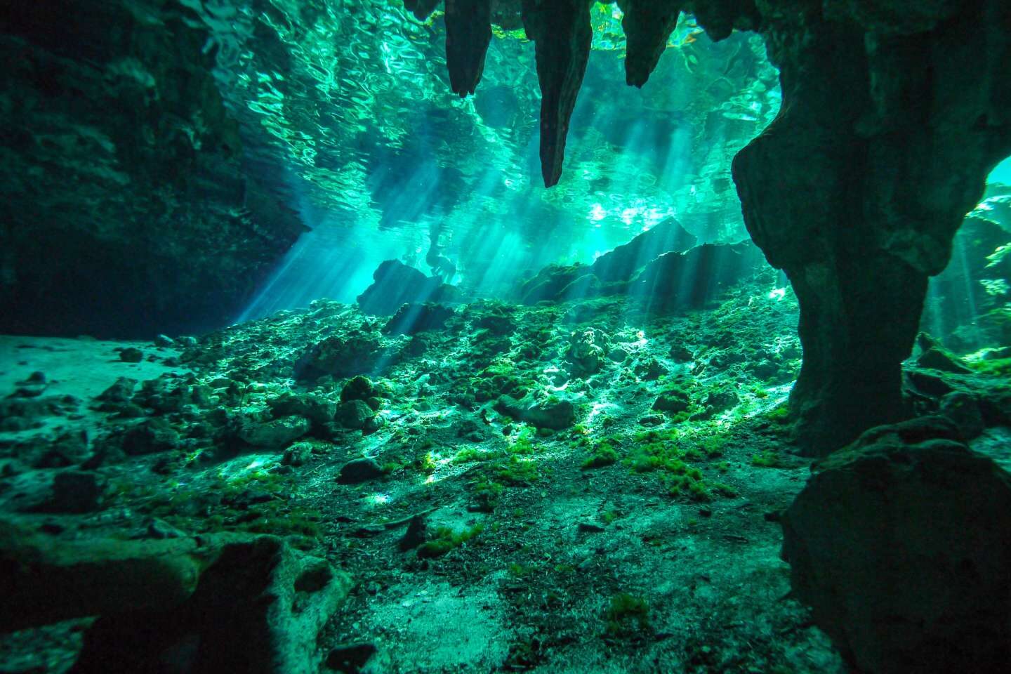 An underwater shot of Cenote Azul Bacalar
