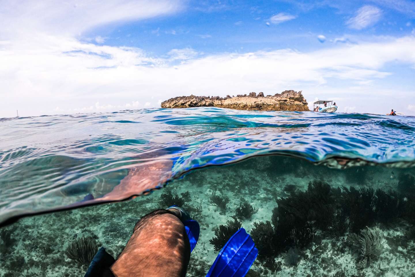 Snorkeling Pulau Mujeres (Panduan Perjalanan Lengkap 2022)