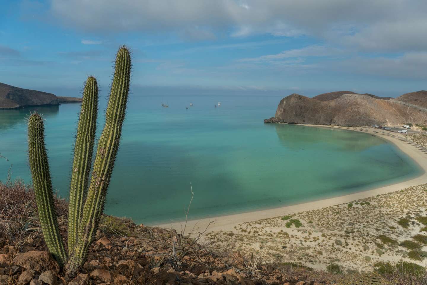 Beautiful beach of Balandra in Mexico