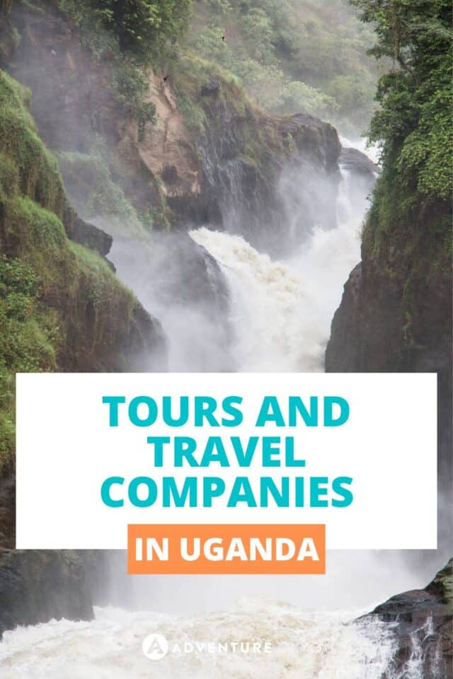 우간다에서 최고의 여행 및 여행 회사를 찾고 계십니까?  당신을 덮었습니다.  이 기사에서는 이 놀라운 나라를 탐험하는 데 도움이 되는 올바른 여행사를 선택하는 방법을 공유할 것입니다.  #우간다 #사파리 #아프리카