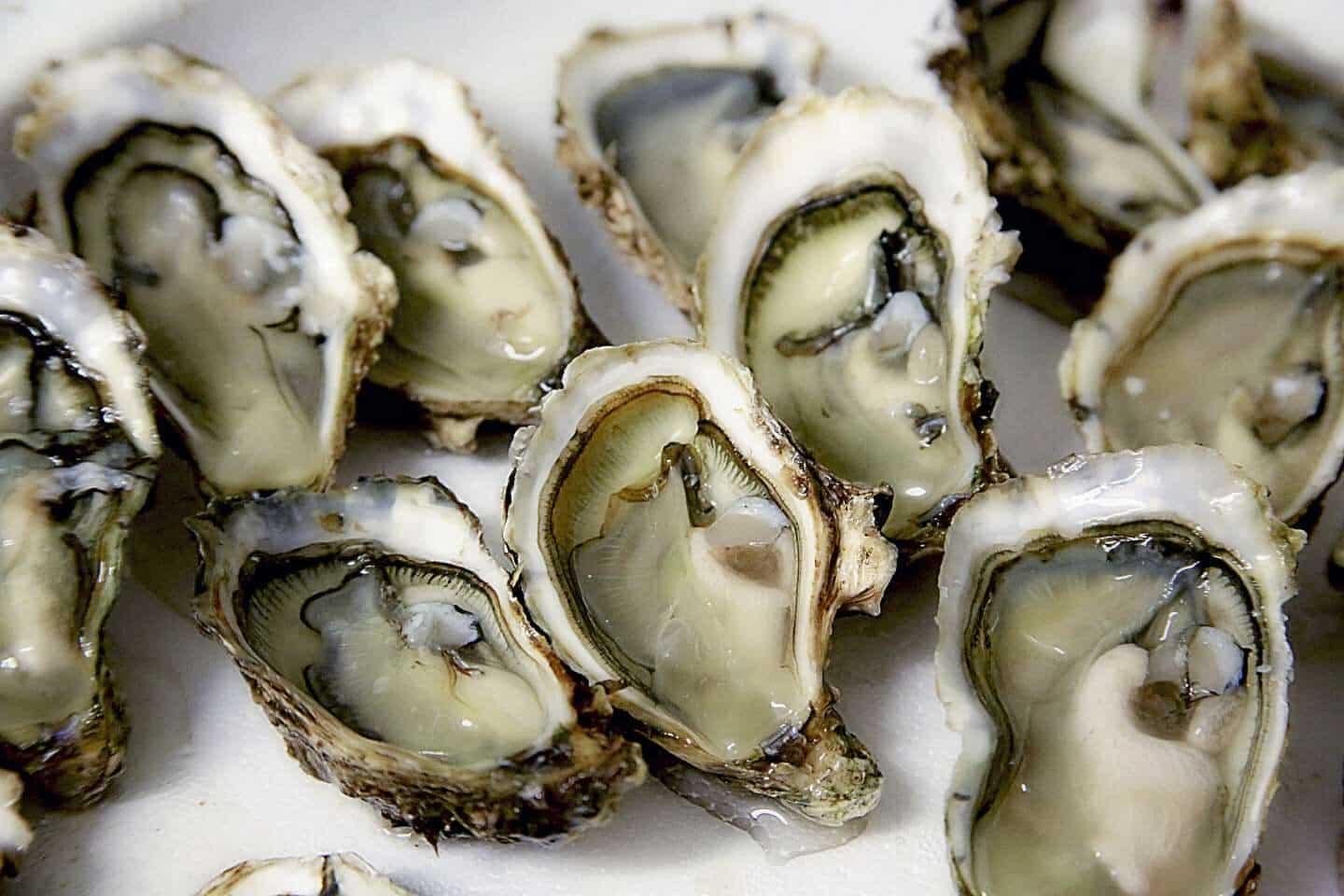 Delicious fresh oysters