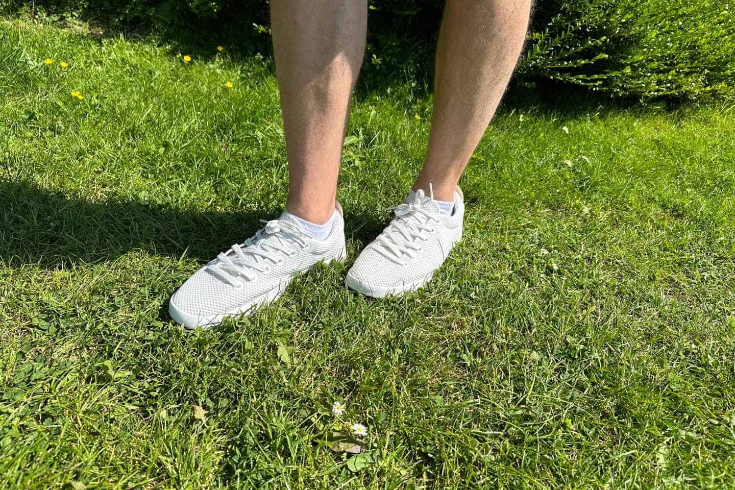 Tom wearing Allbirds Tree Pipers shoes standing on the grass