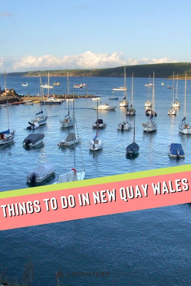 Things to Do in New Quay Wales | Discover the hidden treasures of New Quay, Wales! From dolphin-watching to exploring quaint streets, our latest blog unveils the ultimate guide to experiencing this coastal paradise. Dive in and plan your perfect getaway now. #NewQuayAdventures #WanderlustWales