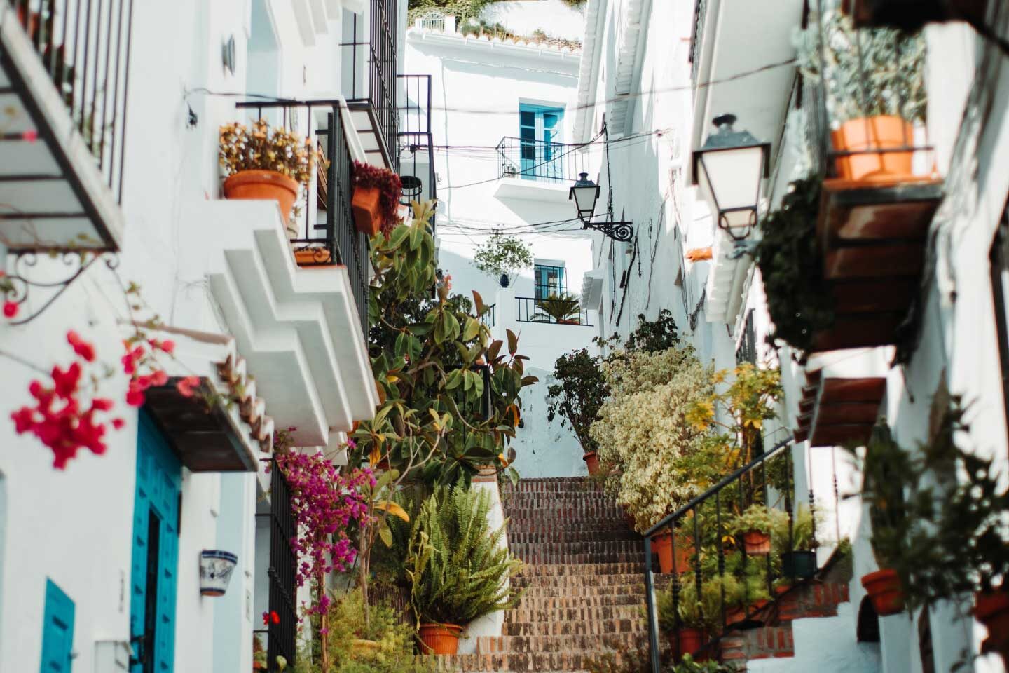 White-buildings-and-flowers-in-Frigiliana