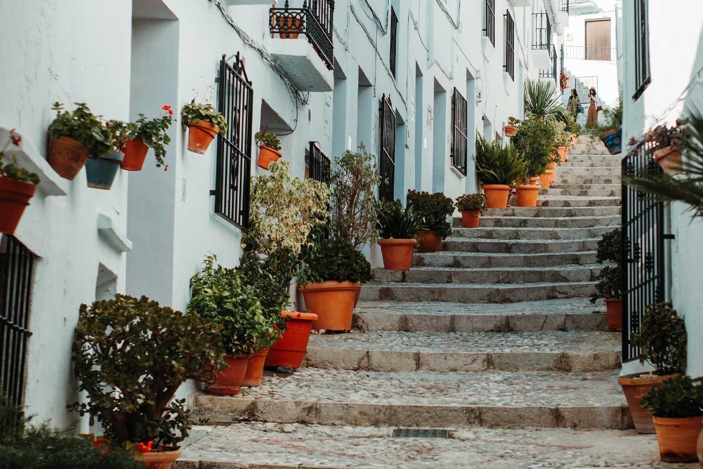 rows-of-plants-on-stairs-in-frigiliana